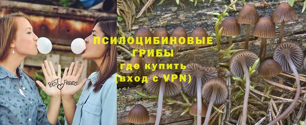 дживик Барнаул