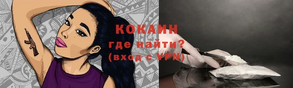 амф Чердынь