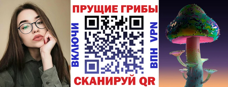 хочу   Аксай  Галлюциногенные грибы Psilocybe 