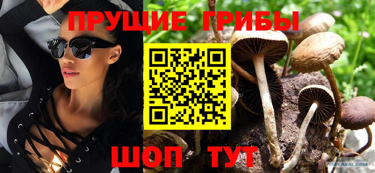 Аксай  наркота  Вход с VPN  Галлюциногенные грибы мухоморы 