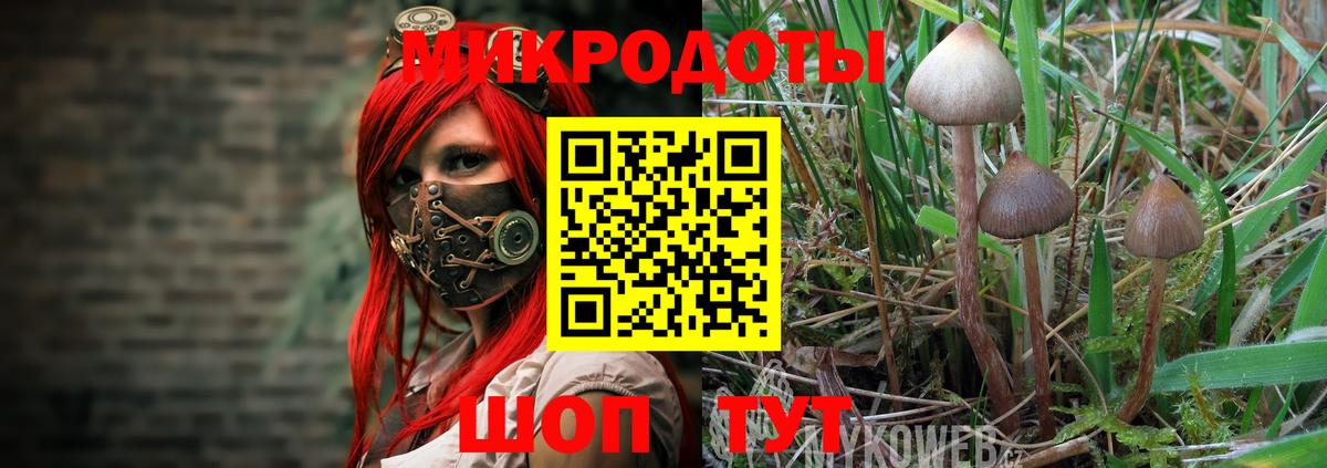 Псилоцибиновые грибы прущие грибы Аксай