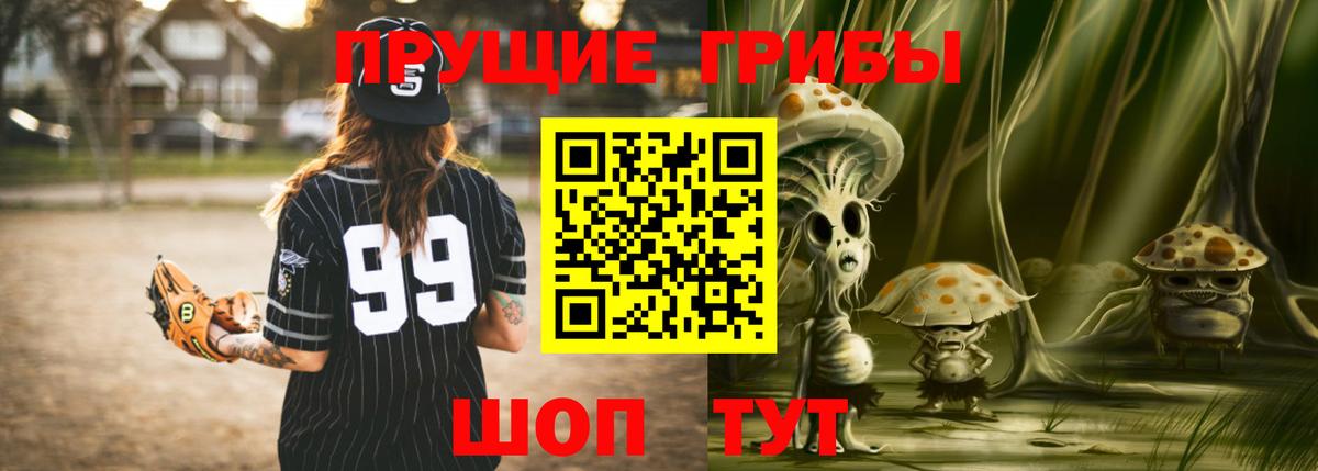 закладка  Аксай  Псилоцибиновые грибы Psilocybe  Галлюциногенные грибы Psilocybine cubensis 